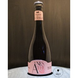 Bière Artisanale L'ANEsthésie ambrée