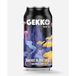 GEKKO Bière Artisanale BURIED IN THE SKY DIPA